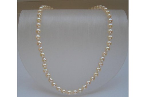 Perlencollier Collier mit Perlen Pearl Perl Kette mit 585 14kt Gold Verschluß