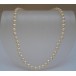 Perlencollier Collier mit Perlen Pearl Perl Kette mit 585 14kt Gold Verschluß