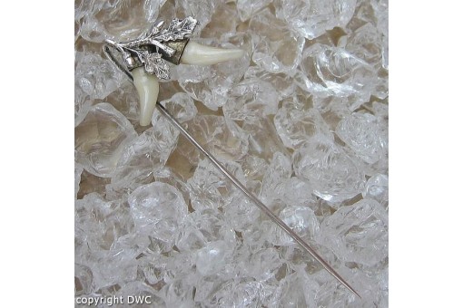 Anstecknadel Nadel mit Fuchszähne in aus 800 Silber Tracht Trachten Hut 