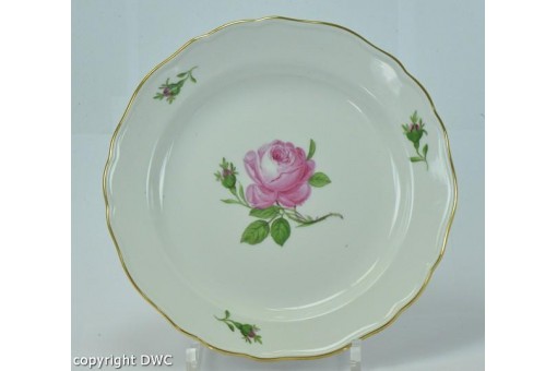 Kuchenteller original Marken Meissen Porzellan Moosrose rote Rose 1. Wahl Teller