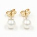 1 Paar Ohrringe Ohrstecker mit Perlen in 14 Kt. 585 er Gold pearl earrings