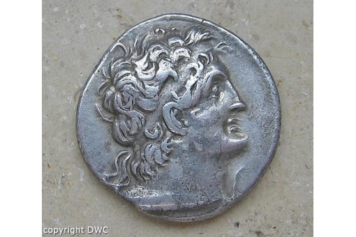 Coin Münze Tetadrachme silver Ägypten Tolomeo V Epifano 204-180 a. C.
