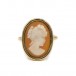 Ring mit Muschelgemme Kamee antik in 18 Kt. 750 Gelbgold Gr. 56 Sammlerstück