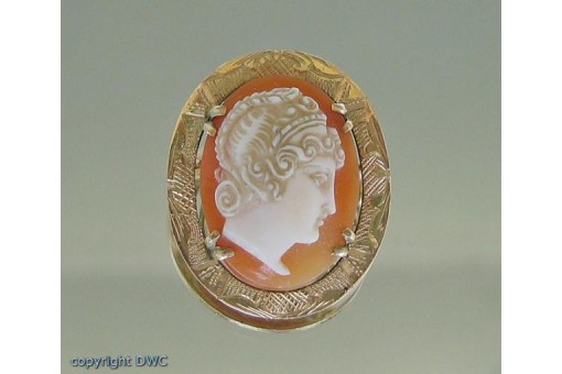 Brosche Muschelgemme Gemmenbrosche 14 kt 585 Gold mit Kamee Sammlerstück