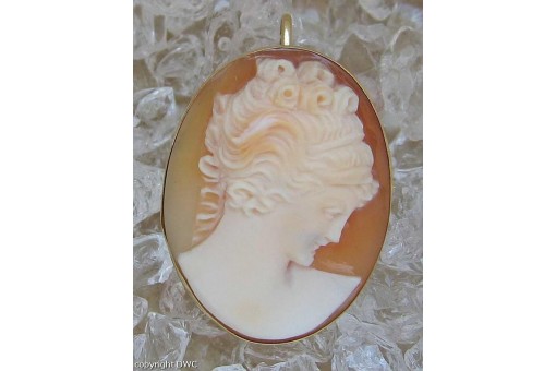 Anh&auml;nger mit Muschel Gemme Gemmen 18 Kt 750 er Gold Brosche Antik Tracht top