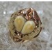 Ring mit Grandeln Grandel in 14 Kt 585 er Gold Finger Tracht Ringe 52 fein!
