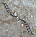 Perlenbrosche Diamantbrosche Brosche mit Perlen Perle Diamant in 585 Gold