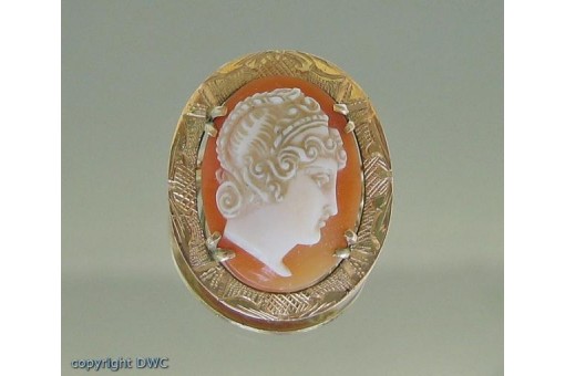 Brosche in aus Gold  Muschelgemme Gemmenbrosche 14kt 585 Gold mit Gemme .