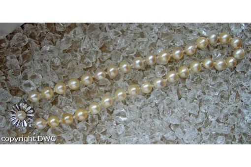 Perlencollier Goldcollier Chain mit Perlen Perle in 585 Gold Länge 40 cm 